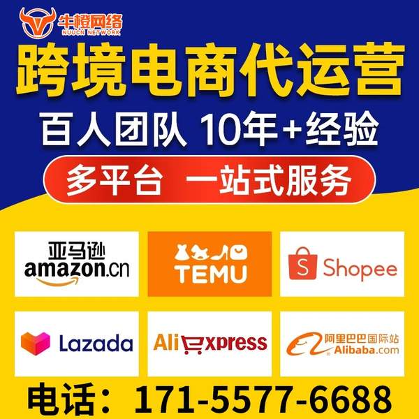 东阳电商代运营