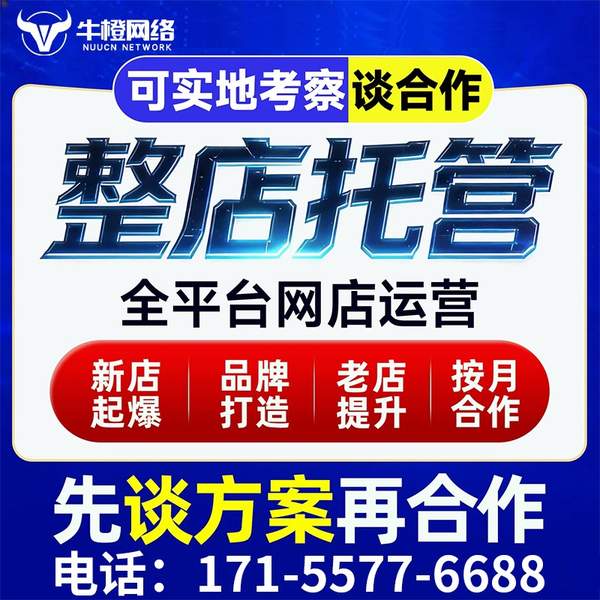 东阳电商代运营