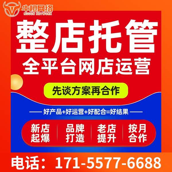 东阳电商代运营