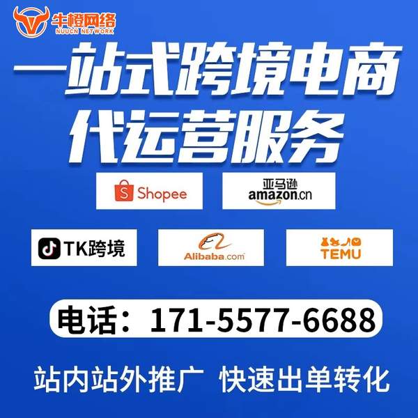 东阳电商代运营