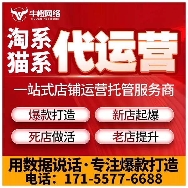 东阳电商代运营